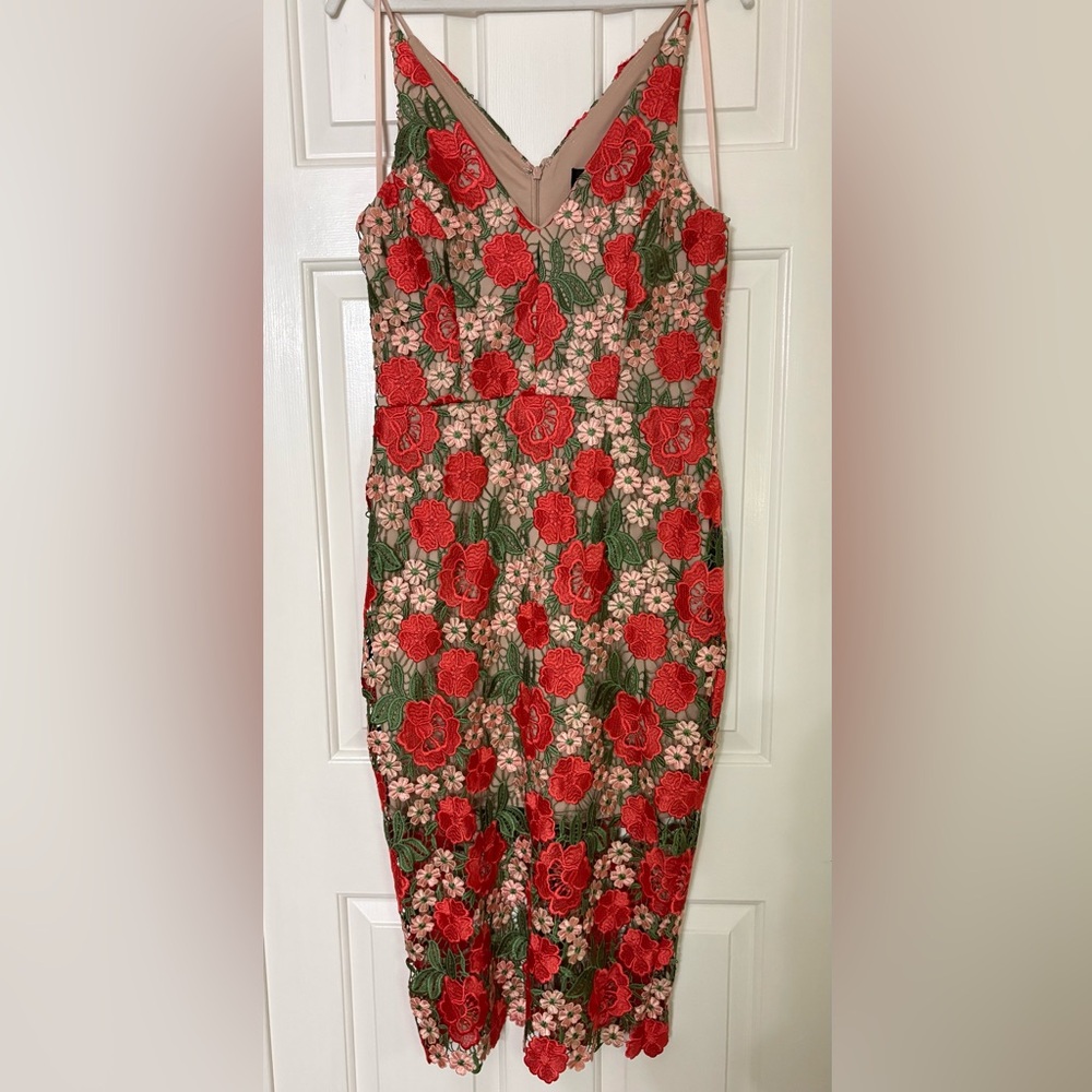 Xscape (Macy’s) Blush Dress with Red and Green Floral Crochet Embroidery